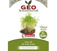 Bavicchi Graines pour Microgreens Bio « Aneth » - 150 g