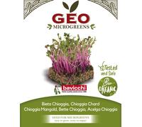 Bavicchi Graines pour Microgreens Bio « Bette Chioggia » - 250 g