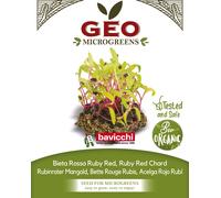 Bavicchi Graines pour Microgreens Bio « Bette Rouge Rubis » - 300 g