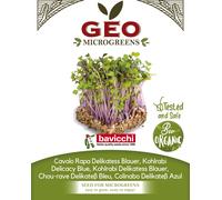 Bavicchi Graines pour Microgreens Bio « Chou-Rave Delikatess Bleu » - 300 g
