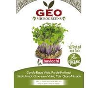 Bavicchi Graines pour Microgreens Bio « Chou-Rave Violet » - 15 g