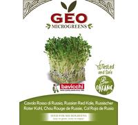 Bavicchi Graines pour Microgreens Bio « Chou Rouge de Russie » - 300 g