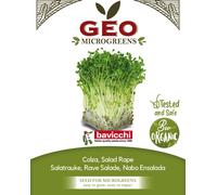 Bavicchi Graines pour Microgreens Bio « Rave Salade » - 500 g