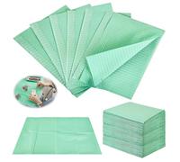 Bavoir dentaire, 125 pièces, 33 x 45 cm, serviettes patient, sets de table, tatouage, imperméable, bavoir d'hôpital, pratiques, études de tatouage (vert)