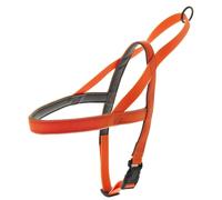 Bavoir norvégien en silicone modèle FUN FLAT pour chiens Ferribiella