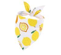 Bavoirs pour animaux de compagnie, bavoirs pour chiens avec foulard pour animaux de compagnie | Écharpe imprimée de fruits mignons pour animaux de compagnie - Bavoir triangulaire pour chien sur le thè