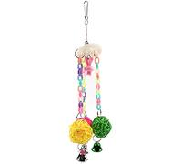 Baxnore Ensemble de perroquets balançoire en rotin coloré avec Son de Cloche Jouant des Jouets à mâcher pour Petits Oiseaux Moyens matériau de Melon en Bois Acrylique 30 cm 1 pc