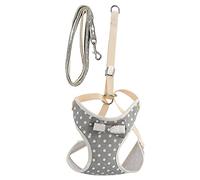 Baxnore Harnais de Gilet de Chat Respirant, décoration d'arc de sécurité de Couture renforcée, Sangle d'évacuation en Poly-Coton réglable, Gilet de Marche sans effondrement pour Le (Petit (adapté aux
