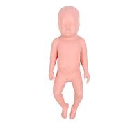 Baxnore Modèle de simulateur nouveau-né éducatif haute Simulation poupée de simulateur à terme complet pour l'enseignement hôpital formation plastique 40 cm