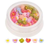 Baxnore Nail fleurs décorations coloré 3D Mini résine fleurs bricolage Nail Art autocollants pour femmes enfants fabrication de bijoux projets artisanaux ABS résine 6mm 1 boîte