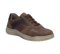 Baxter 01 castagne-multi 49