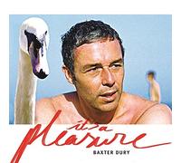 Baxter Dury – It's a Pleasure – CD – Digipak