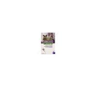 BAYER ADVANTAGE 80 pour Chat (4 Kg et +) (4 pipettes de 0,8 ml)