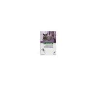 BAYER ADVANTAGE 80 pour Chat (4 Kg et +) (6 pipettes de 0,8 ml)