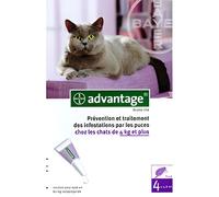 Bayer Advantage 80 Solution Antipuce Pour Chats de
