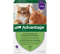 Bayer Advantage Cat