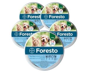 BAYER FORESTO Collier anti-tiques et anti-puces pour chats et chiens de moins de 8 kg 5 pièces