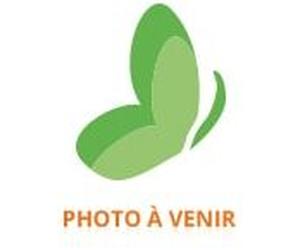 Bayer Santé EuphytoseNuit Mélatonine 30 Gommes - Pot 30 gommes