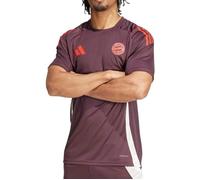 Bayern Munich Maillot Training Bordeaux Homme Adidas 24/25 XL