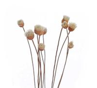 BAYNOPURIN Bâtonnets Diffuseur Créatif for l'aromathérapie Volatile for la Maison Parfum Fait Main Fleur Artificielle Fleurs séchées diffuseur bâtons encens aromatique