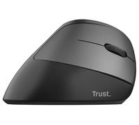 Bayo sans Fil Rechargeable Ergonomic Souris, Noir - 24731