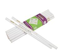 BAZEITFLOW 12 pièces Nail Dotting Pens Set Manicure Dotting Tools With Sticky Tips For Rhinestones Gems Beads Application Professional And Home Use