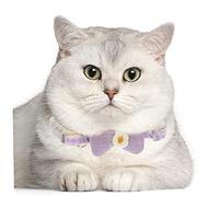 BAZEITFLOW 2 pièces Collier pour Animaux avec Nœud à Boucle Accessoire Décoratif pour et Chiots de Vert et et Usage