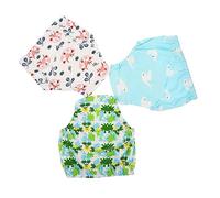 BAZEITFLOW 3 pièces Culottes Entraînement Garçon Fille Lavables Absorbantes et Respirantes Couches Réutilisables pour Adaptées Piscine et Bain Mixte Xl
