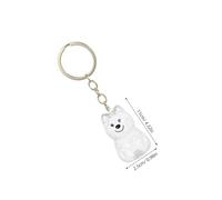 BAZEITFLOW 4pièces Porte-clés Commémoratif pour Poils De Chat Boîte Souvenir pour Poils Animaux Rangement pour Mémoriaux De Chats Pendentif Clé Discret
