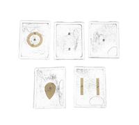 BAZEITFLOW 5 Ensembles Démonstrateur de Champ Électrostatique avec Boîte de Limaille de Fer en Plastique pour Kit Physique Lycée, Outil Pédagogique pour Expériences Scientifiques Étudiantes