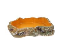 BAZEITFLOW Bol De Nourriture pour Terrarium Reptiles Abreuvoir Imitation Pierre Bassin Alimentation Tortue Support Eau Reptiles