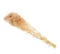 BAZEITFLOW Bouquet de Fleurs Séchées de Gypsophile Naturel Blanc 44 Cm 40 G pour Décoration Intérieure Maison Mariage Centre de Table Ambiance Naturelle