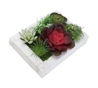 BAZEITFLOW Cadre Photo Décoratif en Bois Plante Artificielle Réaliste, Décoration Murale Créative pour Salle à Manger ou Escalier, Accessoire en Plastique et Bois