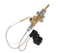 BAZEITFLOW Kit de Thermocouple Fileté et Interrupteur de Sécurité Inclinaison pour Chauffage Extérieur Capteur Thermique Anti-surchauffe et Arrêt Automatique Cas de Basculement