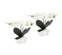 BAZEITFLOW Lot de 2 Phalaenopsis Artificiels en Pot Blanc Fleurs Artificielles Réalistes en Soie et Plastique Décoration Intérieure et Mariage Ornement de Table Petit Bonsaï Décoratif
