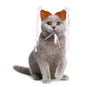 BAZEITFLOW Lot de 2 Serrage-Têtes pour Animaux de Patte de Poulet Tailles S et L Accessoires Flexibles et Originaux pour Chats et Chiens Décoration de Coiffure Amusante et Résistante