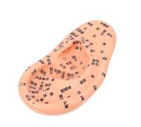 BAZEITFLOW Modèle D'oreille Humaine Réaliste en Pvc, Outil de Massage par Points D'acupuncture Précis, Matériel Pédagogique Ergonomique pour Médecine Traditionnelle Chinoise et Soins
