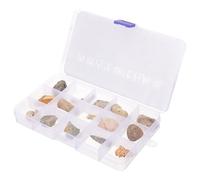 BAZEITFLOW Set De Fossiles Paléontologiques Décoratifs Collection De Modèles De Pierre Irréguliers Pour Décoration Et Enseignement Archéologie Minéraux Et Dinosauriens Coffret