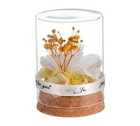 BAZEITFLOW sous Cloche Verre Blanc Cadeau Créatif pour Noël et Saint Valentin Décoration et