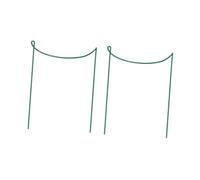 BAZEITFLOW Support De Plantes en Fer Peint Vert, Lot De 2 Treillis Végétaux pour Balcon Et Jardin, Tuteur Robuste Et Pratique pour Culture Ordonnée, Usage Extérieur Toute Saison