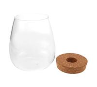 BAZEITFLOW Terrarium Verre pour Plantes Bouteille De Micro-Paysage DIY Contenant pour Jardinière Hydroponique De Bureau