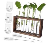 BAZEITFLOW Vase de Propagation Suspendu Verre avec Support Bois Tubes à Essai pour Boutures Plantes Intérieur Station Murale Bureau pour Pothos Vignes et Plantes Aquatiques