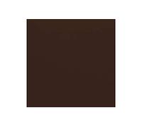 Bazzill 25 Feuilles de Papier Toile Bazzill Basics Texture Albums de Chutes Java