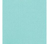 Bazzill 25 feuilles Mono Aruba 30,5 x 30,5 cm