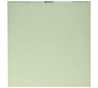 Bazzill Basics Paper 12x12 Pouces Aloe Vera/Canvas, Vert