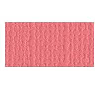 Bazzill Basics Paper 25 Feuilles Scrapbooking sur Toile Texture, Flamingo