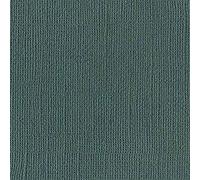 Bazzill papier cartonné , Gris, 30,5x30,5 cm - 25 pièces (1 paquet)