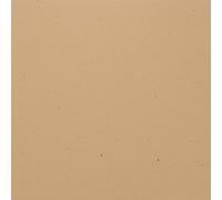 Bazzill Speckle Cardstock 12"X12"-Sand Dollar