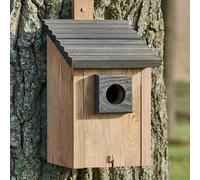 BB Loisir Mangeoire Oiseaux extérieur à Suspendre pour Oiseaux Sauvages en Bois Massif Toit Pente Gris