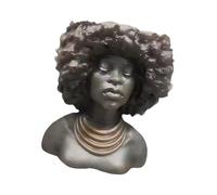 Bbajszx Bohemians Styles Pot de Fleurs en résine pour succulentes, décoration d ' intérieur, présentoir de Table et d ' étagère, récipient décoratif pour succulentes